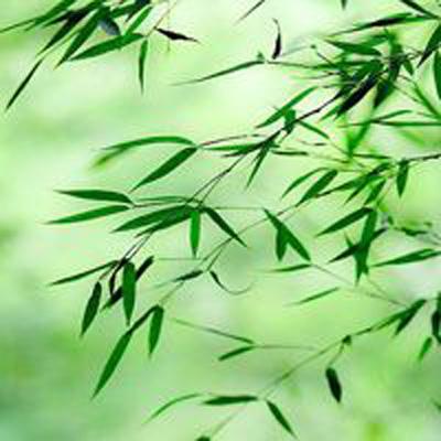 代号梦境回廊手游下载